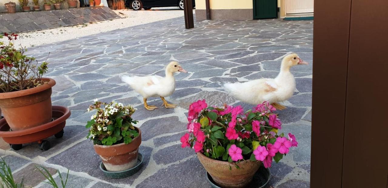 فندق Borgo Tarapino فيرّارا المظهر الخارجي الصورة