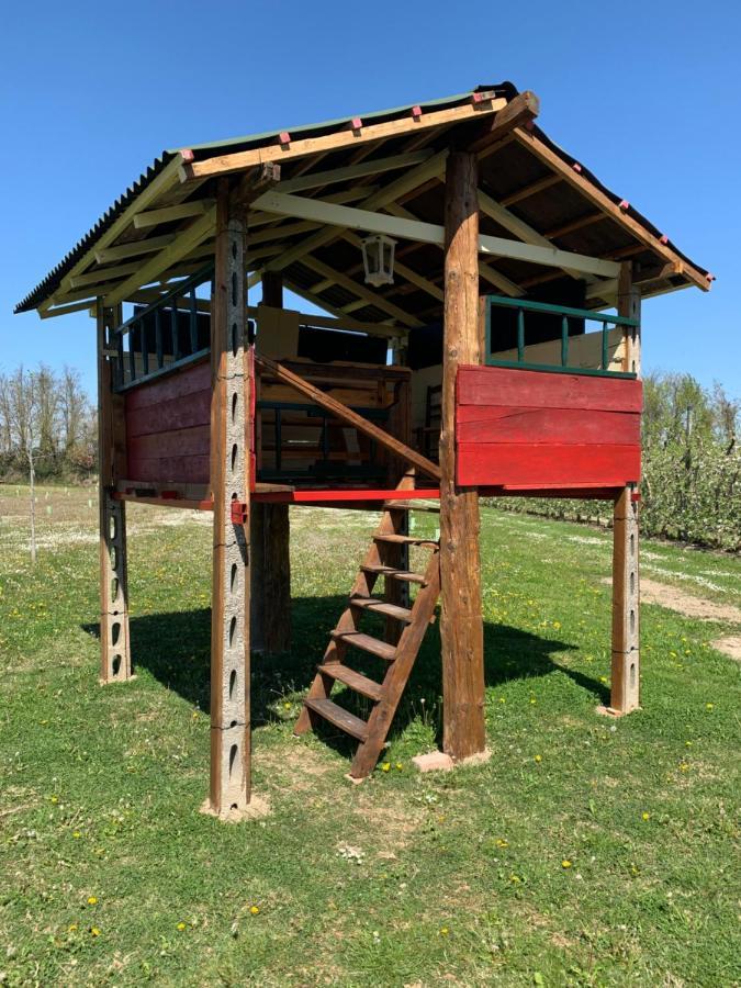 فندق Borgo Tarapino فيرّارا المظهر الخارجي الصورة