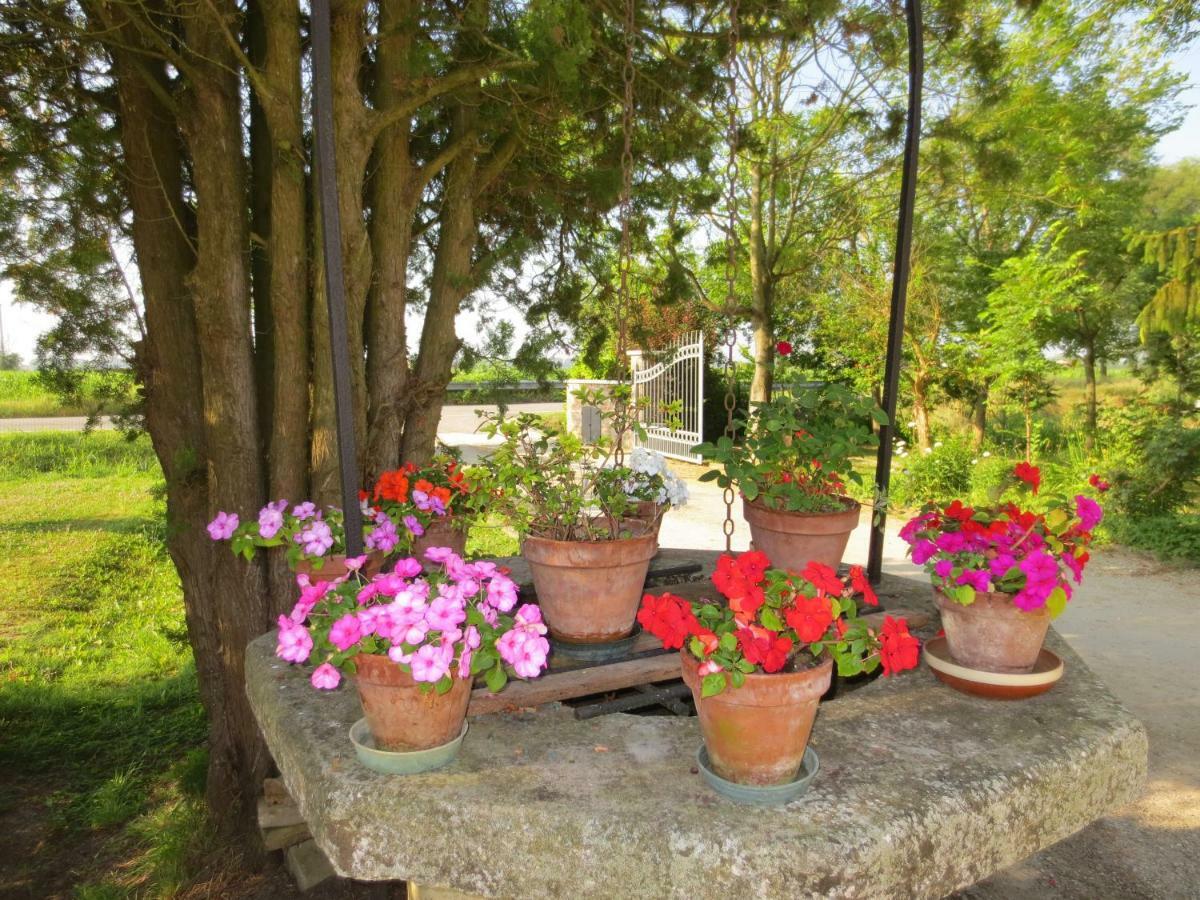 فندق Borgo Tarapino فيرّارا المظهر الخارجي الصورة